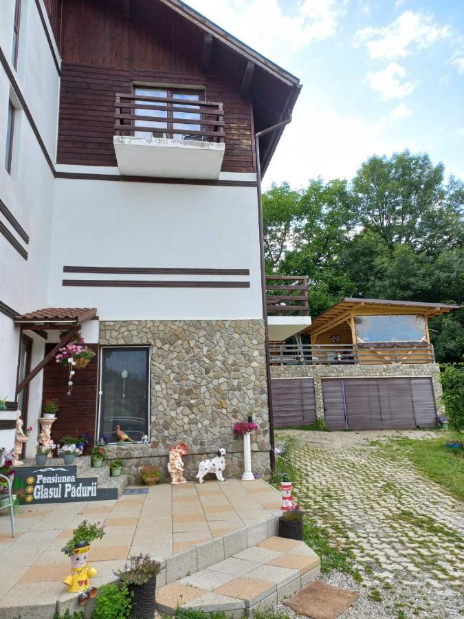 Pensiunea Glasul Padurii Moieciu de Jos Exterior foto