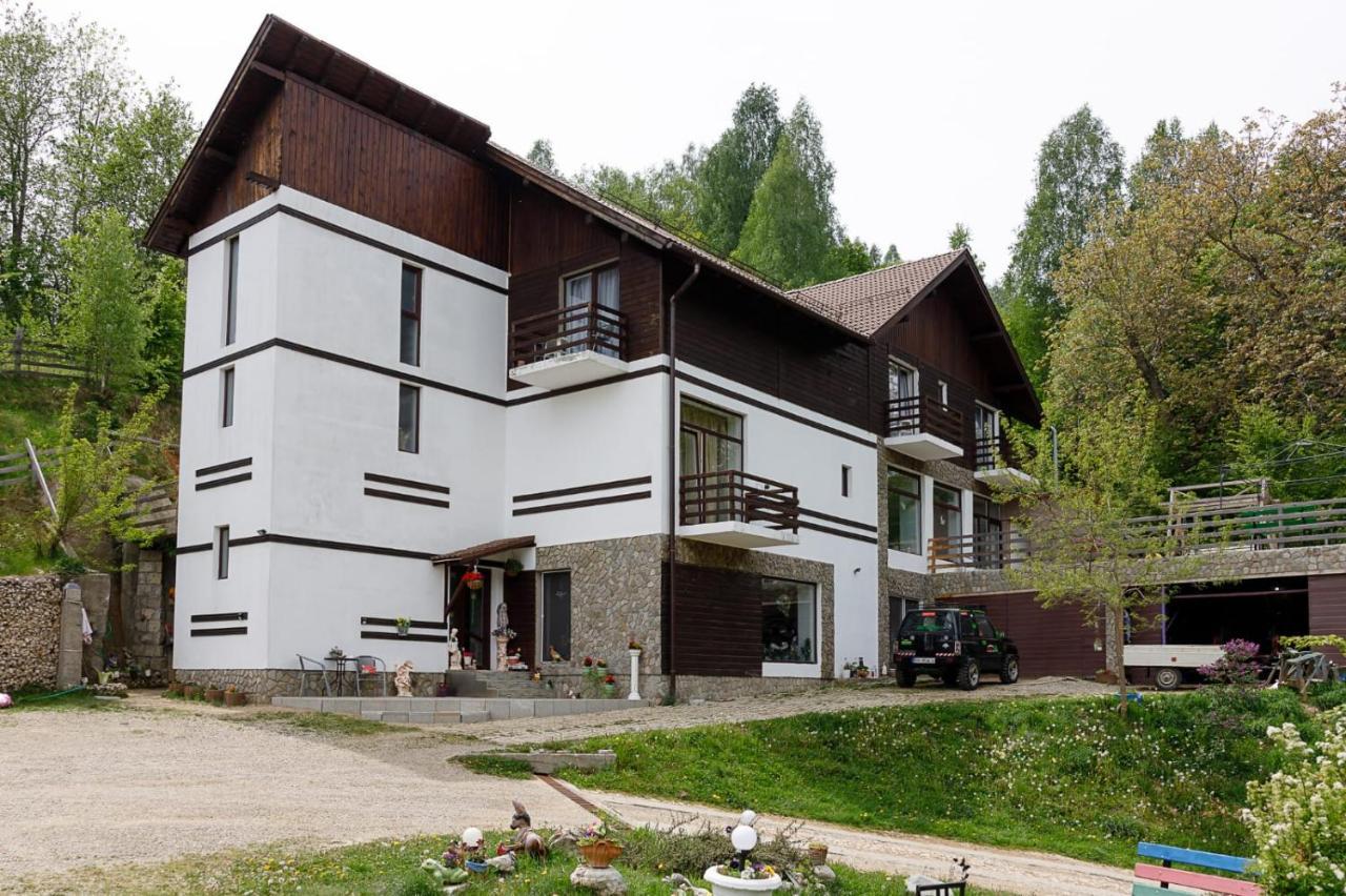 Pensiunea Glasul Padurii Moieciu de Jos Exterior foto
