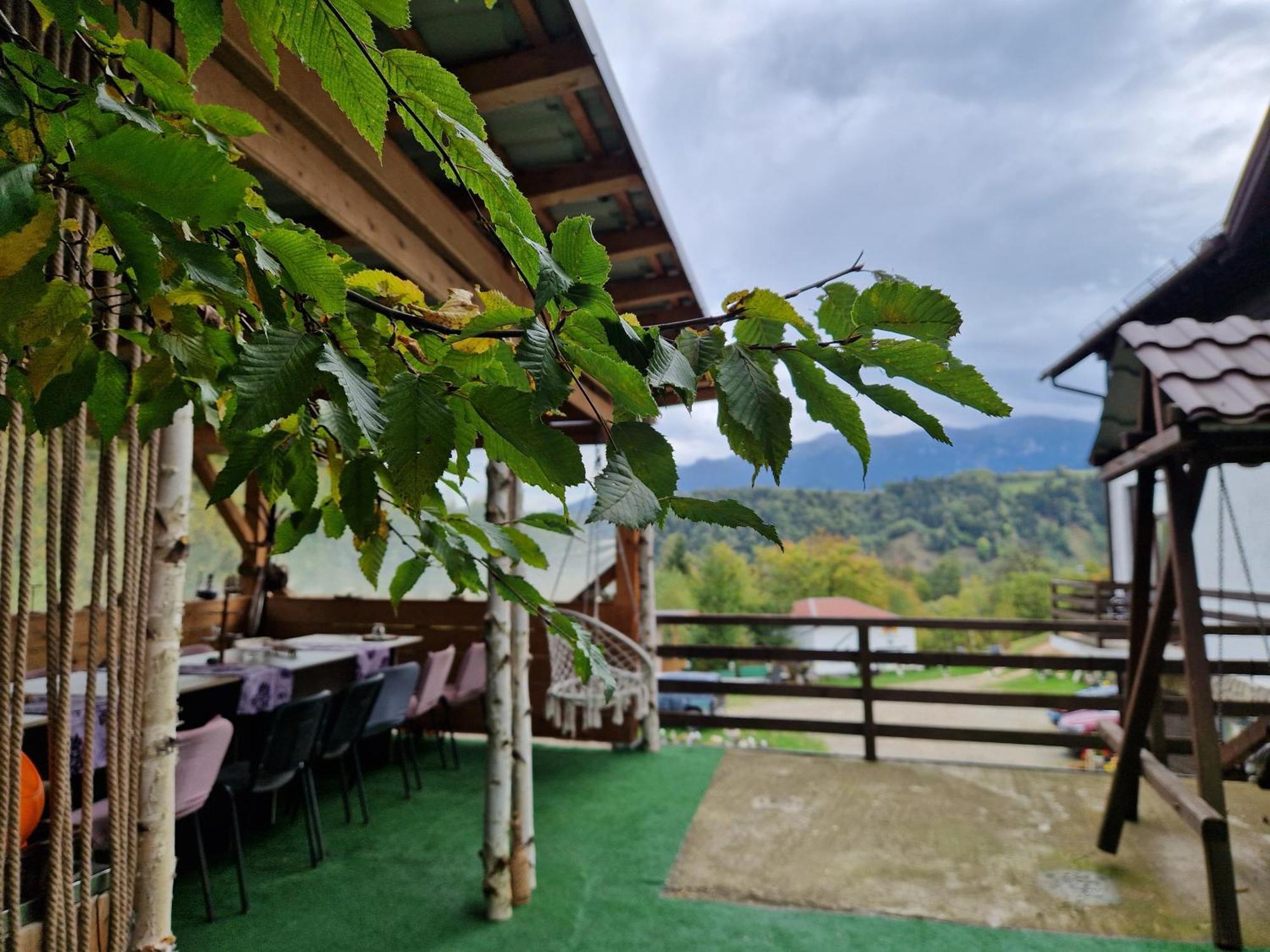 Pensiunea Glasul Padurii Moieciu de Jos Exterior foto