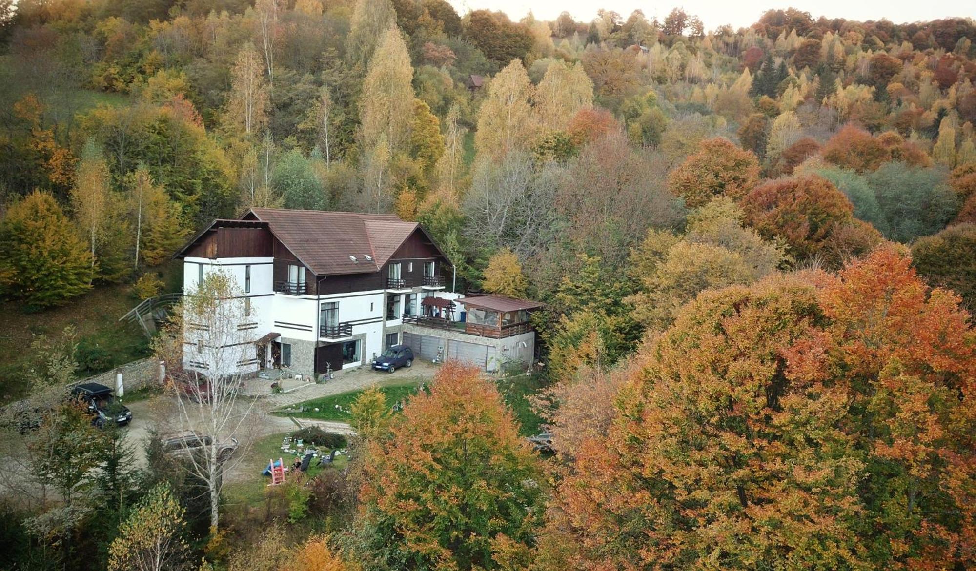 Pensiunea Glasul Padurii Moieciu de Jos Exterior foto