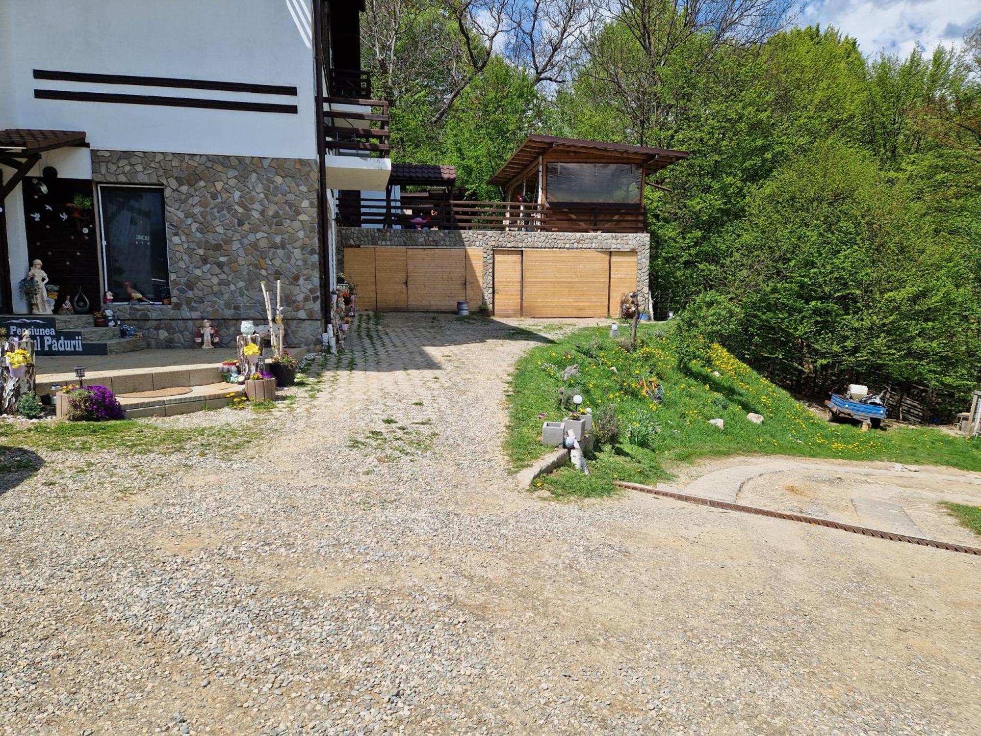 Pensiunea Glasul Padurii Moieciu de Jos Exterior foto